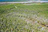 4.57 Acres Meekins Road - Photo 8