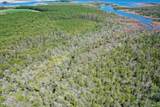 4.57 Acres Meekins Road - Photo 9