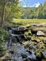575 Vestal Cochran Road - Photo 3