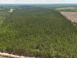 Tract 1 Barbee Road - Photo 32
