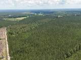 Tract 1 Barbee Road - Photo 35
