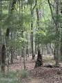 Lot #46 Pine Cove Lane - Photo 14