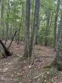 Lot #46 Pine Cove Lane - Photo 6