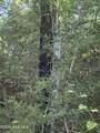 511 London Street - Photo 4
