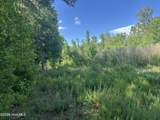 Near 594 Big Cypress Road - Photo 6