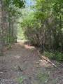 1602 Breezeway Drive - Photo 4
