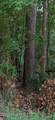 1-A New Delaughter Drive - Photo 1