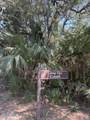 2 Gray Fox Court - Photo 3