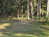 3840 Timber Stream Drive - Photo 1
