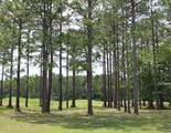 6247 Castlebrook Way - Photo 5