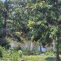 1441 Feldspar Court - Photo 13