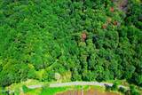 2872 Panther Creek Road - Photo 14