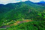 2872 Panther Creek Road - Photo 38