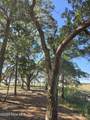 3810 Windy Point Road - Photo 10