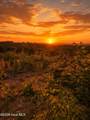 7740383679 Skeen View Road - Photo 4