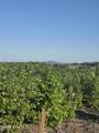 7740383679 Skeen View Road - Photo 8