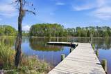 931 Schrams Beach Road - Photo 4