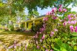 524 Carthage Street - Photo 2