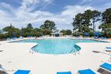 1021 Tidings Road - Photo 49