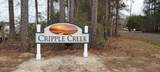 118 Cripple Creek Drive - Photo 6