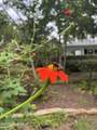318 Buccaneer Road - Photo 138