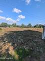 126 Texana Community Ctr Road - Photo 2