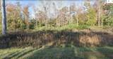 1.24 Acres Old Ocean Highway - Photo 4