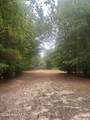 Tbd Oliver Carlton Road - Photo 13