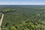 82 Acres Point Caswell Rd Road - Photo 13