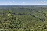 82 Acres Point Caswell Rd Road - Photo 9