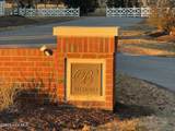 119 Quarter Horse Loop - Photo 8