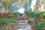 4952 Montserrat Drive - Photo 40