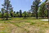 1725 Bellingham Drive - Photo 71