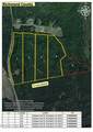 0 Cartledge Creek Road - Photo 2