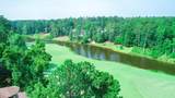 117 Kershaw Lane - Photo 41