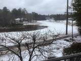 117 Kershaw Lane - Photo 42