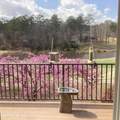 117 Kershaw Lane - Photo 43