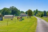 389 Beulaville Highway - Photo 8