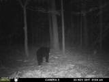 Near 523 Culbreth Smith Road - Photo 10