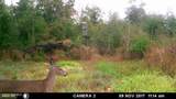 Near 523 Culbreth Smith Road - Photo 11