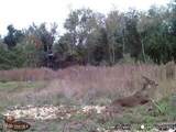 Near 523 Culbreth Smith Road - Photo 12
