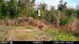 Near 523 Culbreth Smith Road - Photo 13