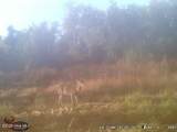 Near 523 Culbreth Smith Road - Photo 14