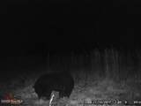 Near 523 Culbreth Smith Road - Photo 15