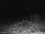 Near 523 Culbreth Smith Road - Photo 16