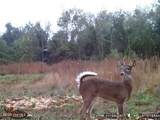 Near 523 Culbreth Smith Road - Photo 17