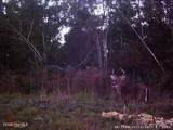 Near 523 Culbreth Smith Road - Photo 18