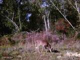 Near 523 Culbreth Smith Road - Photo 9