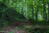 Lot Off Buck Naked Road - Photo 5