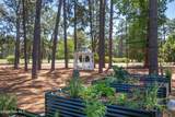 55 Palmetto Road - Photo 52
